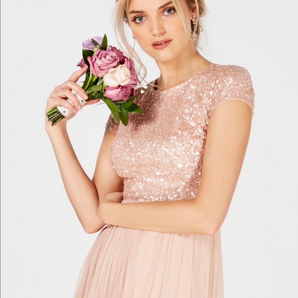 Adrianna Papell Blush Sequined Tulle A-Line Gown